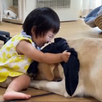 サンちゃんが見ています！