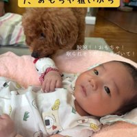 おもちゃにも興味津々！