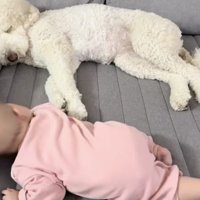 微動だにしないウトちゃん