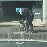 わんこへの愛が伝わる…