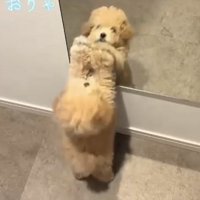 両手でパンチ