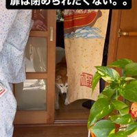 扉を閉めちゃった！！