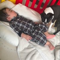 「やっぱり戻ろう」