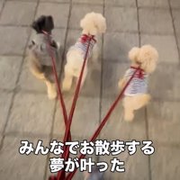 みんなのお気に入りの時間