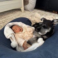 見守ってくれています