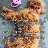 旦那さんの反対を押し切って…