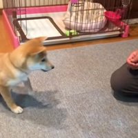 動き出すみなみちゃん