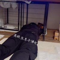 ケージでごろん！