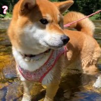 まさかの足湯状態！