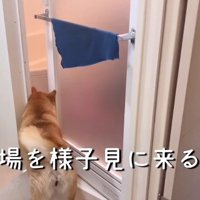 お風呂に偵察