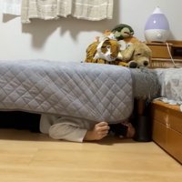 ソファの下に隠れる飼い主さん