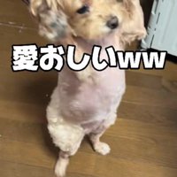 おやつの前では万歳！！