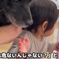 おもちゃをチェックして…