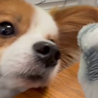 目をキラキラさせて会話