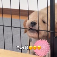 「ママ、行かないで～」