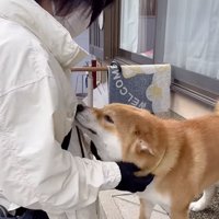 優しく撫でられてご満悦