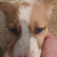 ある決断をした