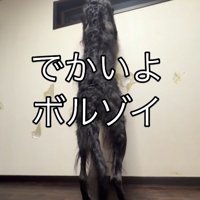 まるで人間のような後ろ姿