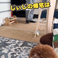 おじいちゃんが帰宅
