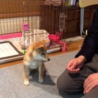 お父さんとゼロ距離のみなみちゃん