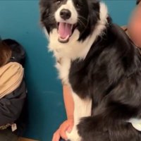 ニコニコ