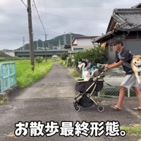 パパの修行かな？