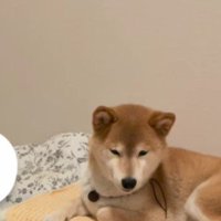 気持ちよさそうだけど…