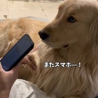 「またスマホ…！」