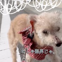 おつかれさま！