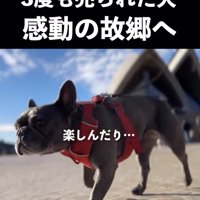 充実した旅になりました