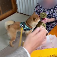 「長生きしてね！！」