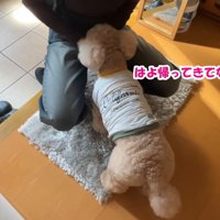 お姉ちゃんをお見送り