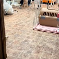 横を向くモカちゃん