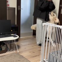 ソラちゃんの熱烈歓迎4