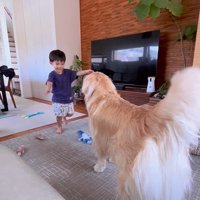 帰宅した男の子とエルくん2