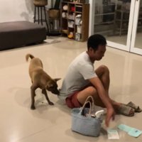 現在のあさちゃんは…