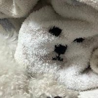 見事な一体化に爆笑♪