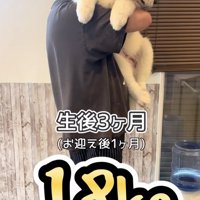 順調すぎる大成長！