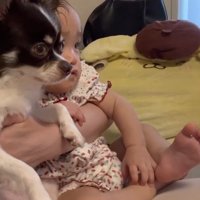 ママの膝の上に座っていたのは…