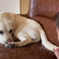 サンちゃんは恰好の遊び相手