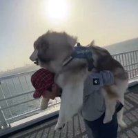 絶景を堪能する紅ちゃん