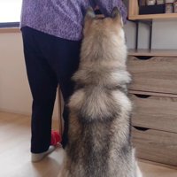 これからも元気でね！