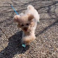 愛を感じる姿♡