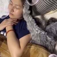 伸びをしながら起きる犬