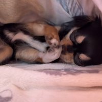 わなわなしてからの…