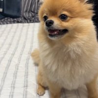 何かを訴えるむぎちゃん9