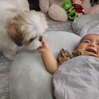 赤ちゃんが大好きなピコちゃん⑩