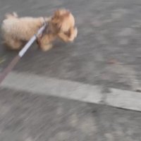 楽しくてたまらない！！