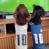 並んで試合を見つめていた