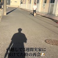 歩いてくるサニーくん